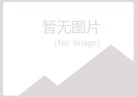 尖山区听白音乐有限公司